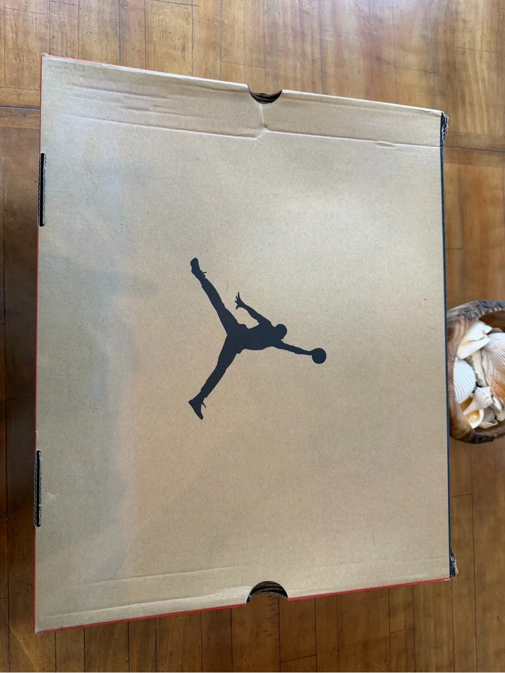 Jordan air flu